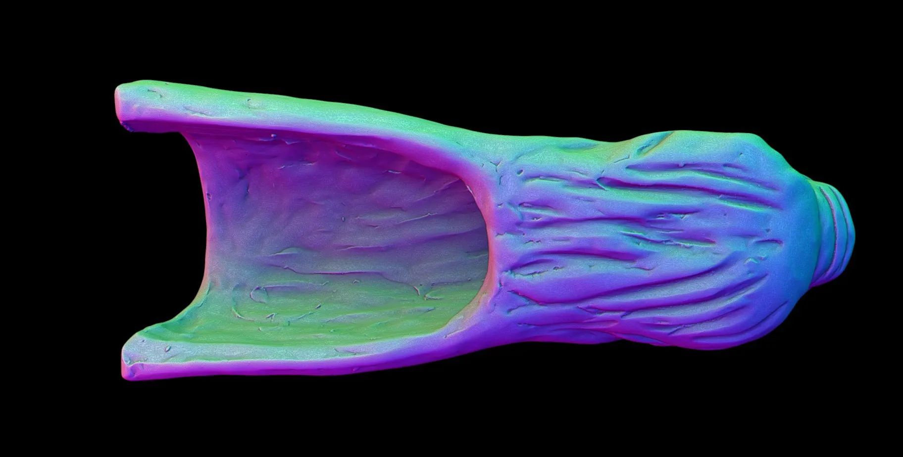 escaneo gárgola vista interior